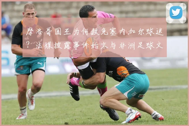 摩洛哥国王为何赦免塞内加尔球迷?法媒披露事件始末与非洲足球文化