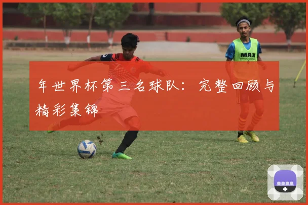 年世界杯第三名球队：完整回顾与精彩集锦