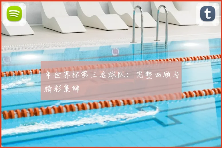 年世界杯第三名球队：完整回顾与精彩集锦